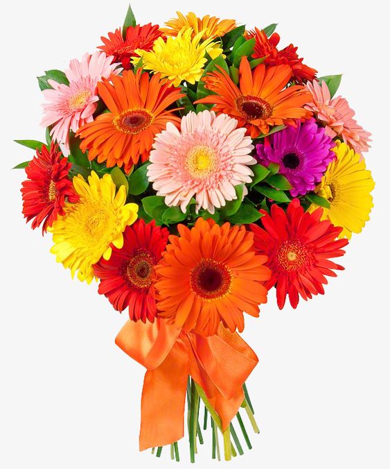 Flowers :: By type :: Gerbera :: Bouquet of Gerberas # 3